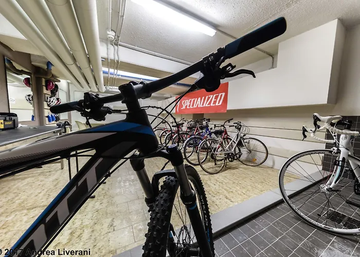 Donatello إيمولا